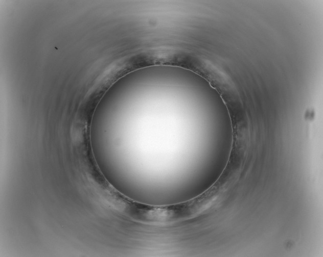 X0000093150225200710241409