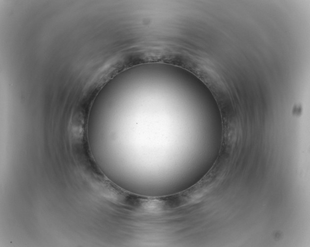 X0000093150226200710241409