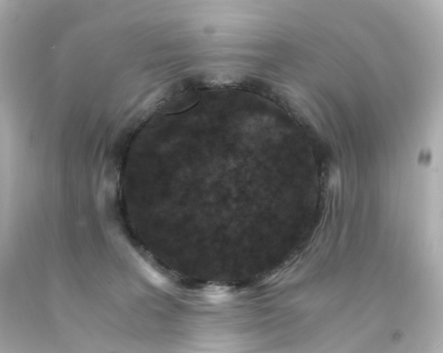 X0000093150227200710241409