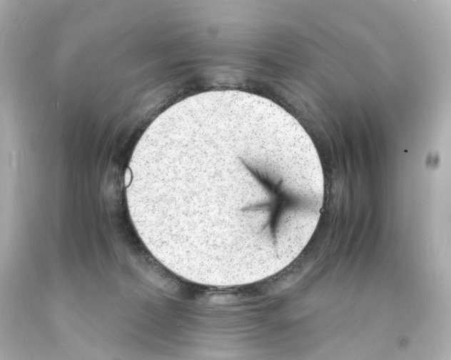 X0000093150228200710241409