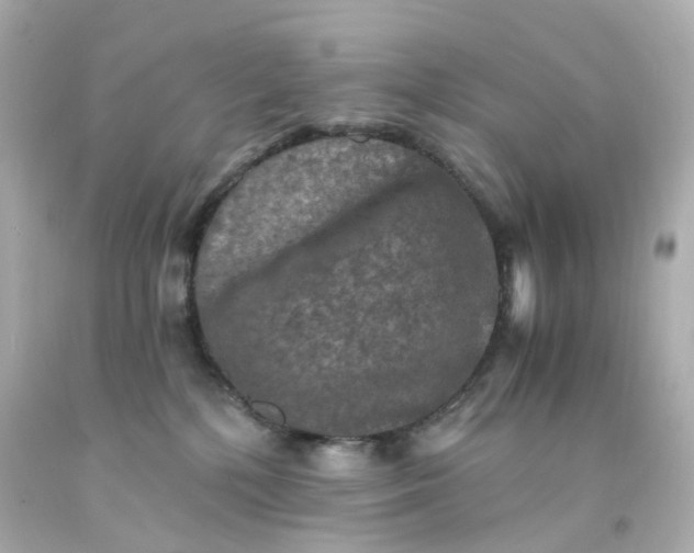 X0000093150232200710241409