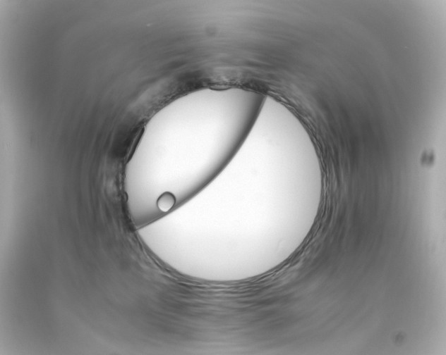 X0000093150233200710241409