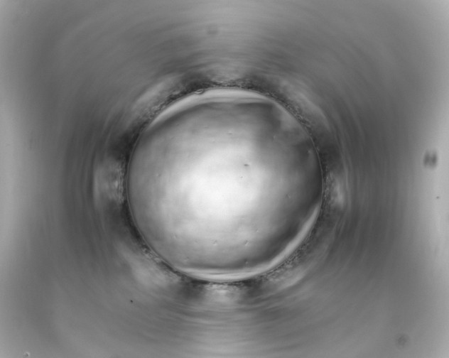 X0000093150234200710241409