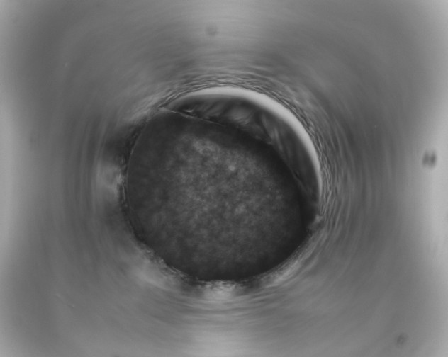 X0000093150235200710241409