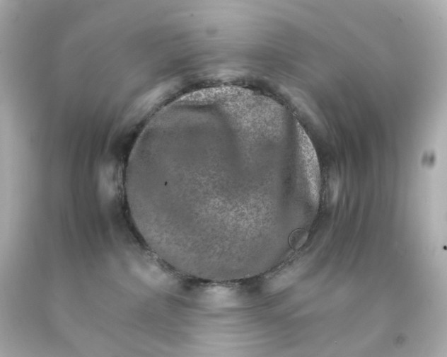 X0000093150236200710241409