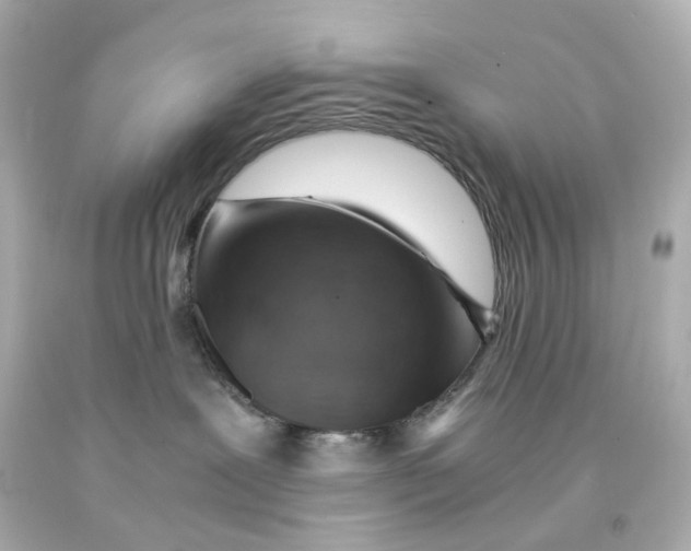 X0000093150239200710241409