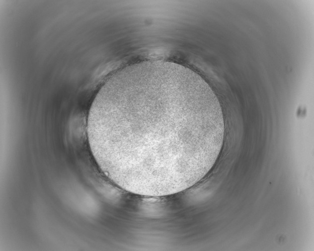 X0000093150240200710241409