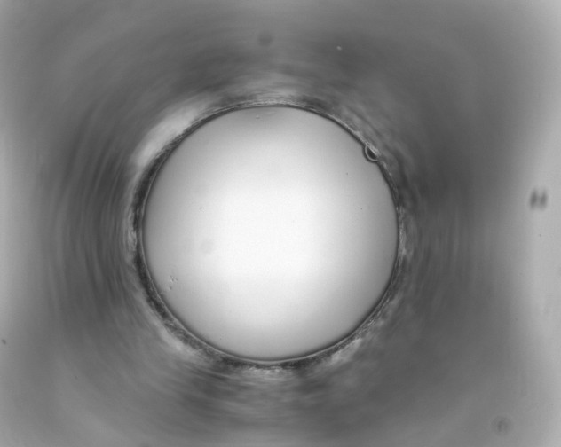 X0000093150245200710241408