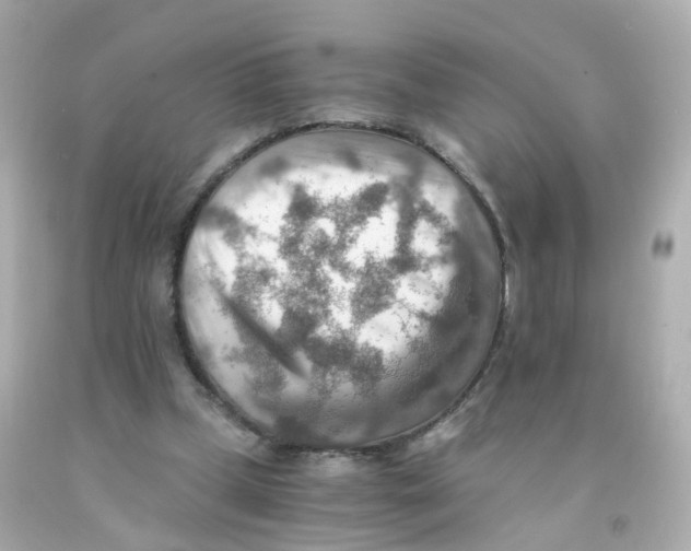 X0000093150249200710241408