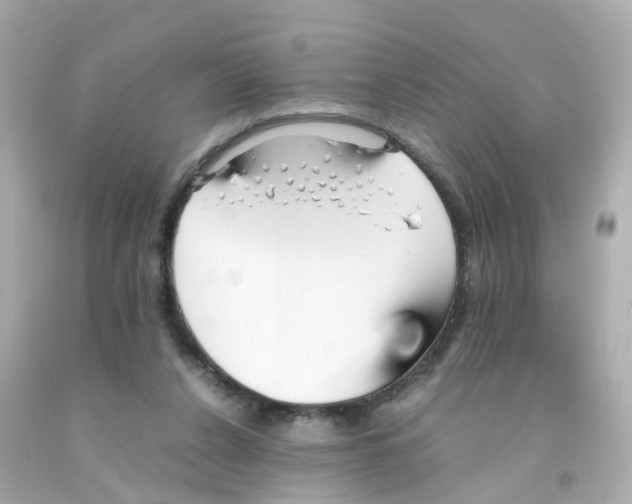 X0000093150256200710241408