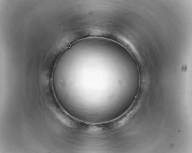 X0000093150257200710241408