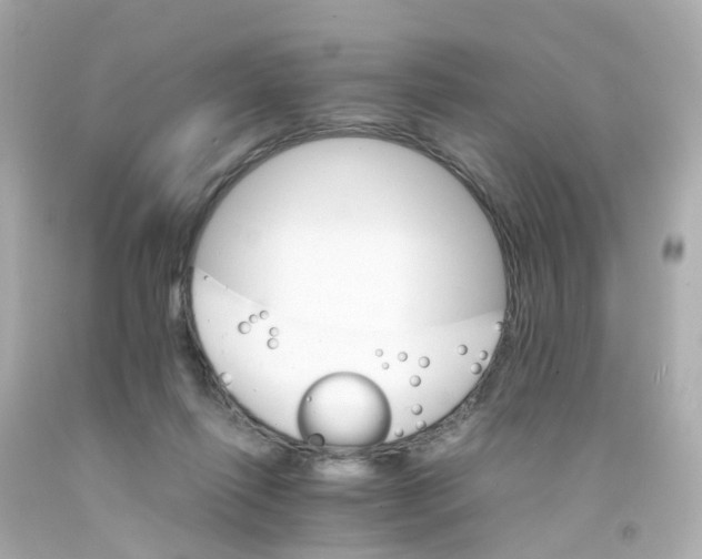 X0000093150262200710241408