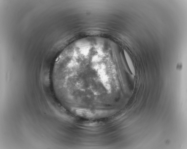 X0000093150267200710241408