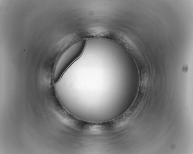 X0000093150268200710241408