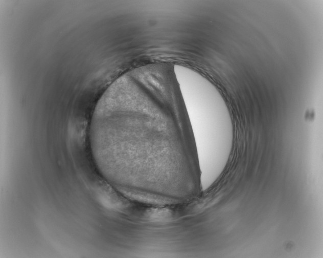 X0000093150271200710241408