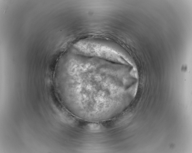 X0000093150272200710241408