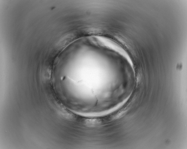 X0000093150281200710241408