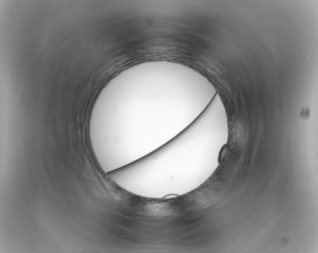 X0000093150283200710241408