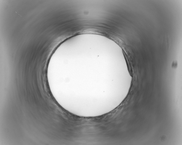 X0000093150289200710241408