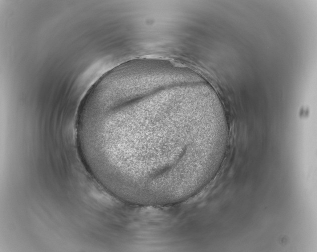 X0000093150290200710241408