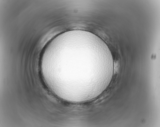 X0000093150291200710241408