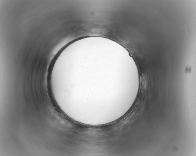 X0000093150292200710241408