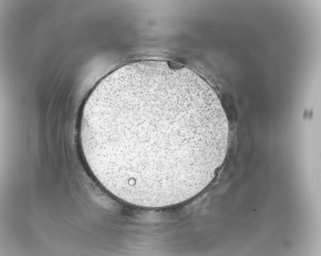 X0000093150293200710241408