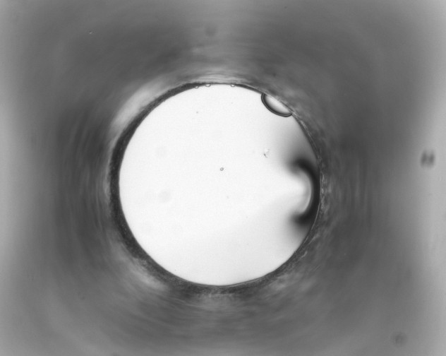 X0000093150296200710241408