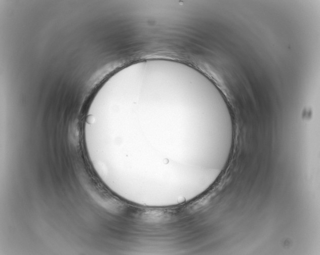 X0000093150298200710241408