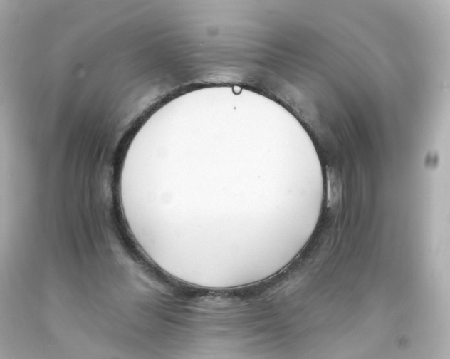 X0000093150300200710241408