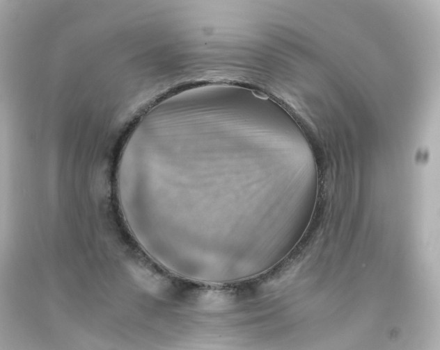 X0000093150303200710241408