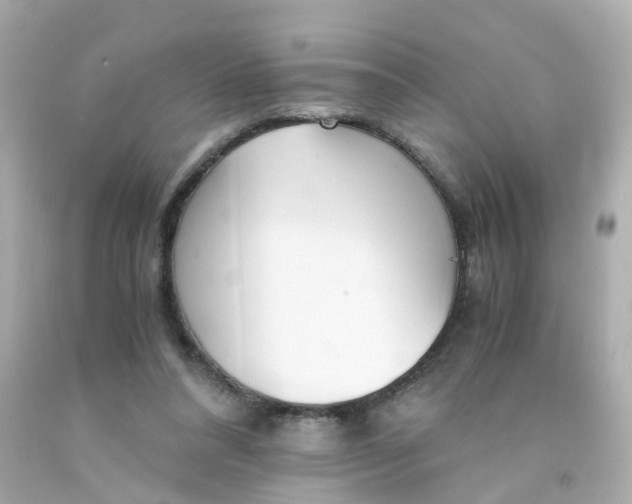 X0000093150304200710241408