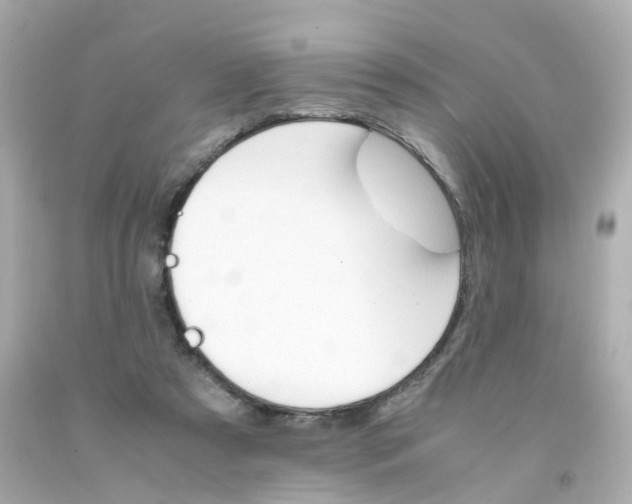 X0000093150305200710241408