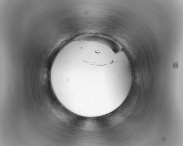 X0000093150308200710241408