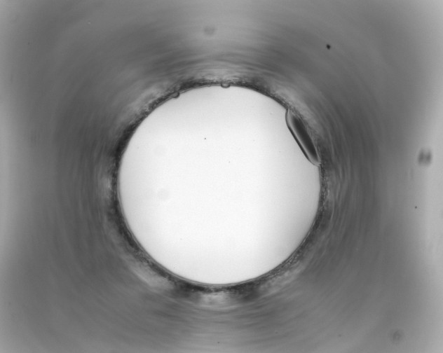 X0000093150309200710241408