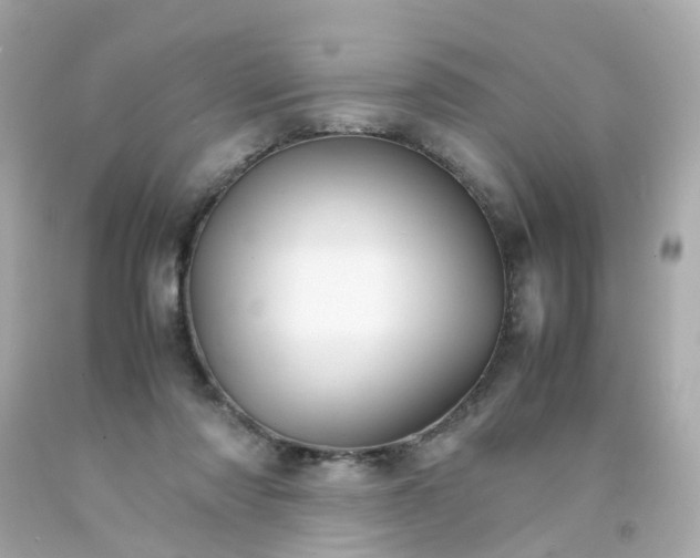 X0000093150310200710241408