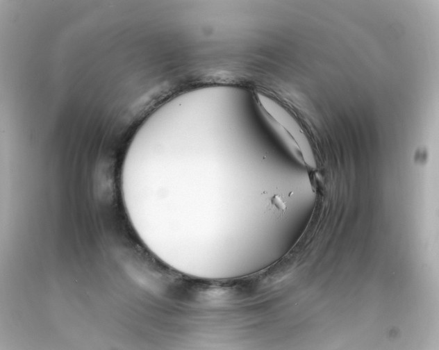 X0000093150312200710241408