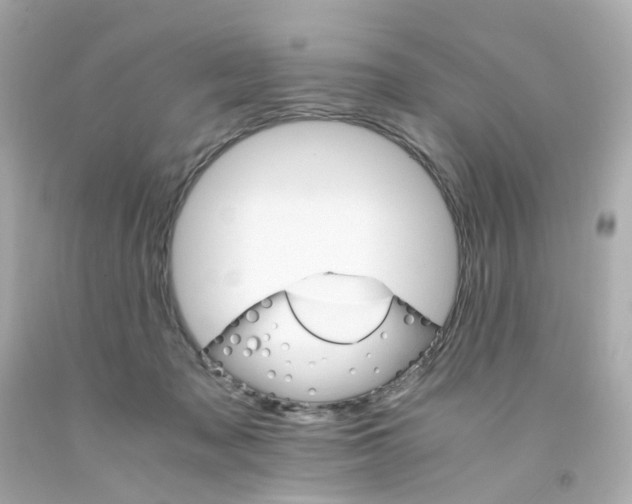 X0000093150317200710241408