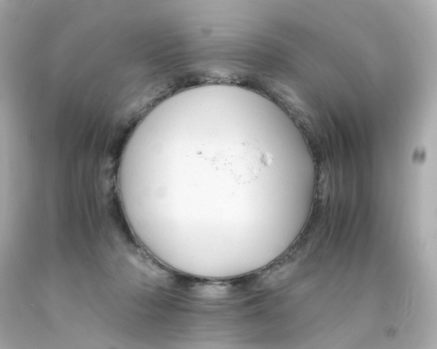 X0000093150318200710241408