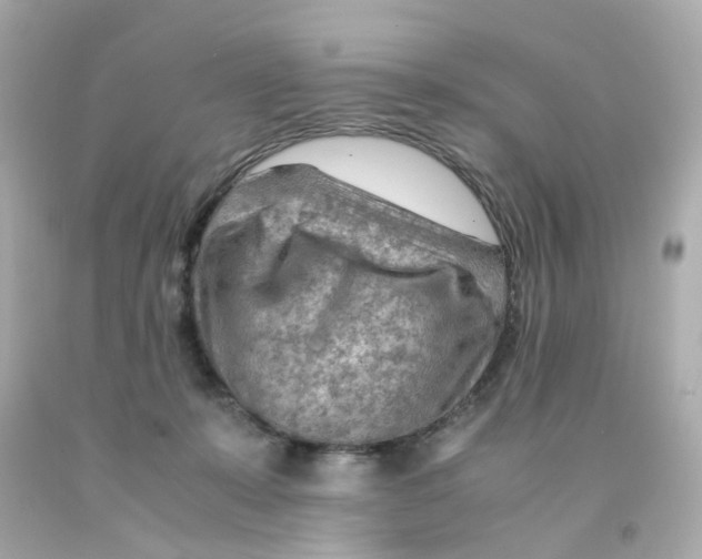 X0000093150319200710241408