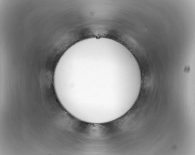 X0000093150321200710241408