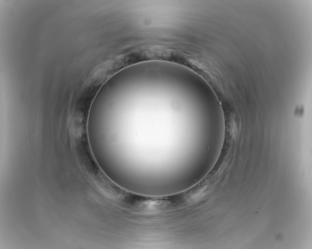 X0000093150323200710241408