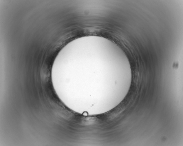 X0000093150324200710241408