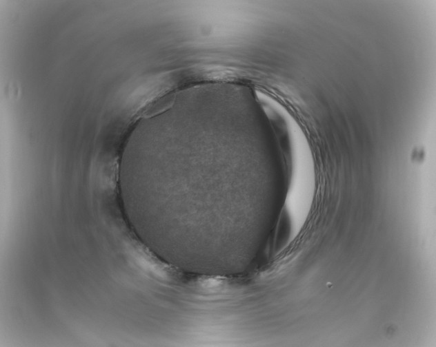 X0000093150325200710241408