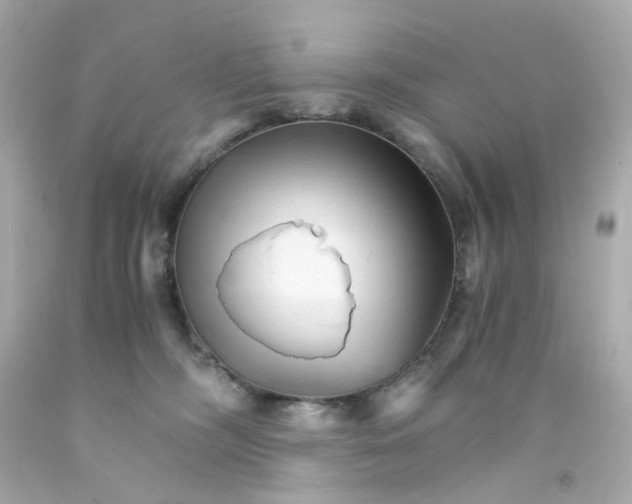 X0000093150326200710241407