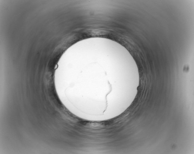 X0000093150327200710241407