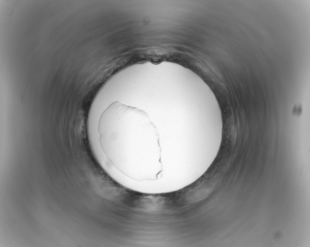 X0000093150328200710241407