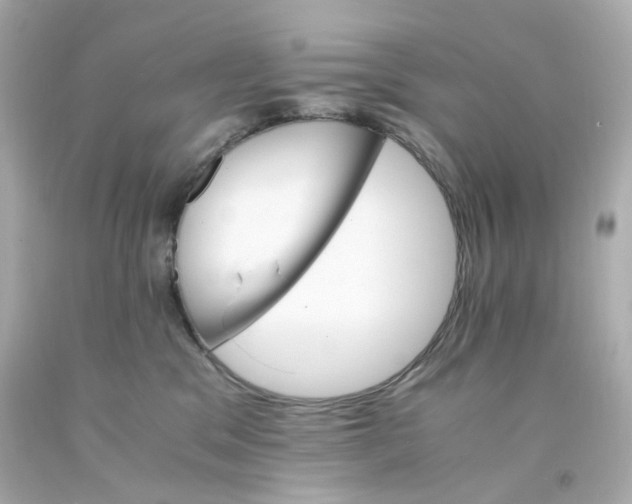 X0000093150329200710241407