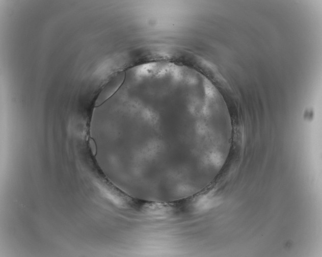 X0000093150331200710241407