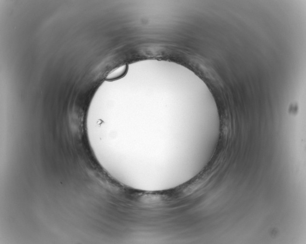 X0000093150332200710241407